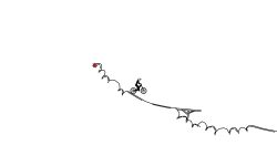 Wheelie? IX