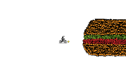 THE BURGER!
