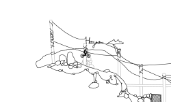 haywire