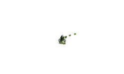 19 subs