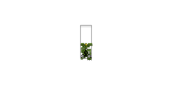 Anyone want to collab
