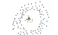 Doom circle