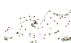 Bomb Auto