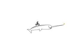 Narwhal Preveiw