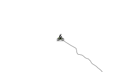 jumpy MTB trail