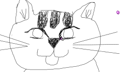 Kit-Kat