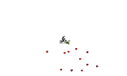 bombs