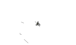 Lil Auto 2