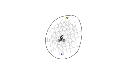 Noob Challenge