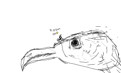 Vulture (Zoom out)