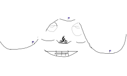 Face-Art-Random-LVL: HARD!
