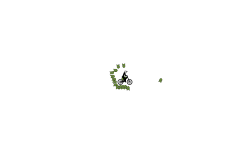 auto (again)