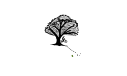 Nature auto