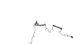 Abyss Leap