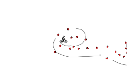 Wheelies