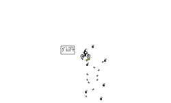 Bomber Boy