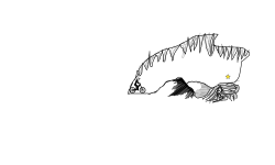 Cave