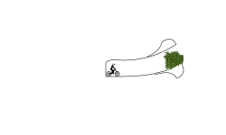 weeeeeeeeee