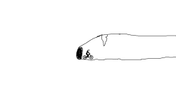 Cave