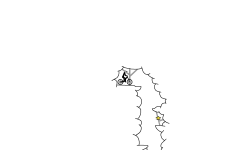 cave auto