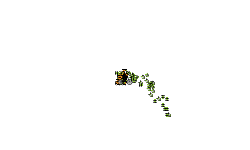 Heli auto