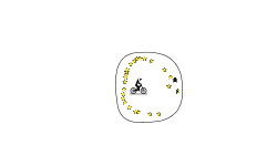 circle of death