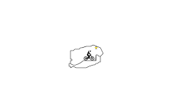 Testing Map