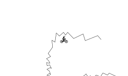im so sorry (desc)