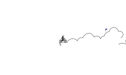 On the Clouds