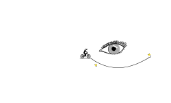 Eye