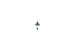 Bomb auto