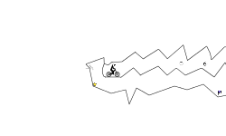 Go Slow