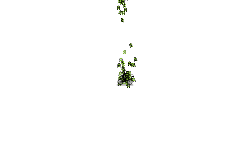 Spike ball glitch