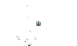DONT MOVE :)
