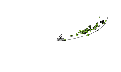The jump