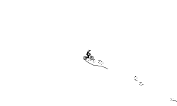 Auto Wheelie