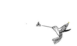 Hummingbird