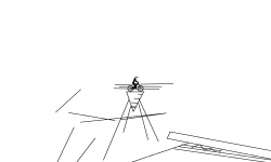 bug
