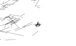 lines