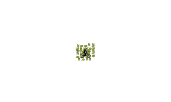 Top- Level 1