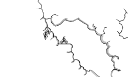 LOOP D LOOP