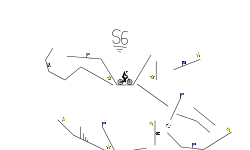 XP Challenge #6