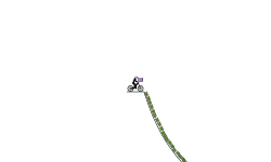 Tricky Sling Shot