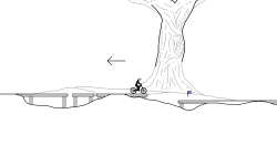 The Oak tree