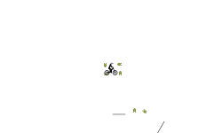 Flying Small Auto
