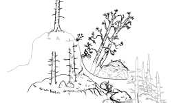Plantation [NTBF]
