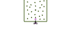 Bouncy House