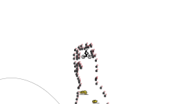DONT MOVE