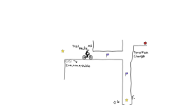 Trial Mechanics #1