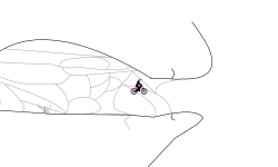 Cracked Caves/Cliffs
